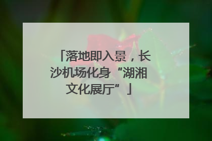 落地即入景，长沙机场化身“湖湘文化展厅”
