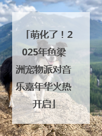 萌化了！2025年鱼梁洲宠物派对音乐嘉年华火热开启