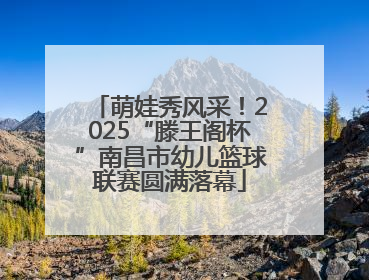 萌娃秀风采！2025“滕王阁杯”南昌市幼儿篮球联赛圆满落幕