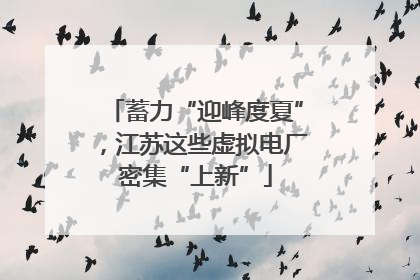 蓄力“迎峰度夏”，江苏这些虚拟电厂密集“上新”