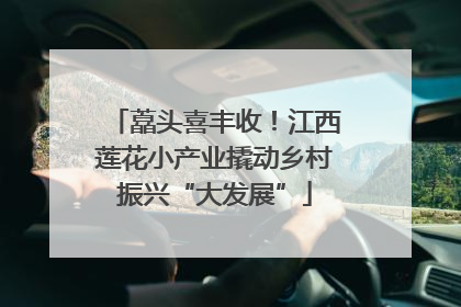藠头喜丰收！江西莲花小产业撬动乡村振兴“大发展”