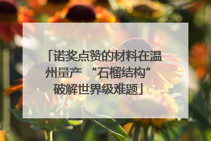 诺奖点赞的材料在温州量产 “石榴结构”破解世界级难题