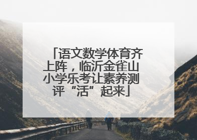语文数学体育齐上阵，临沂金雀山小学乐考让素养测评“活”起来