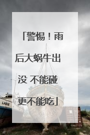 警惕！雨后大蜗牛出没 不能碰更不能吃