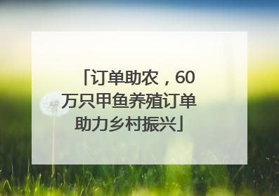 订单助农，60万只甲鱼养殖订单助力乡村振兴