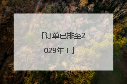 订单已排至2029年！