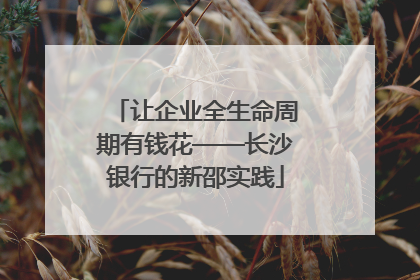 让企业全生命周期有钱花——长沙银行的新邵实践