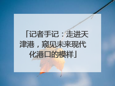 记者手记：走进天津港，窥见未来现代化港口的模样