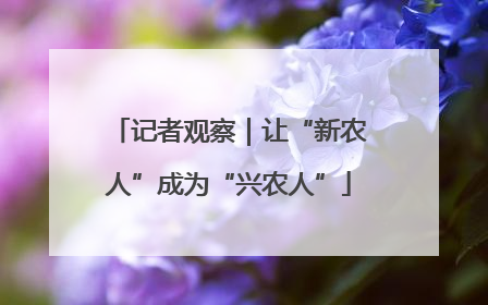 记者观察｜让“新农人”成为“兴农人”
