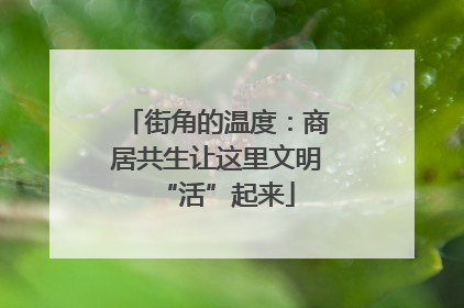 街角的温度：商居共生让这里文明“活”起来