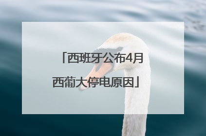 西班牙公布4月西葡大停电原因