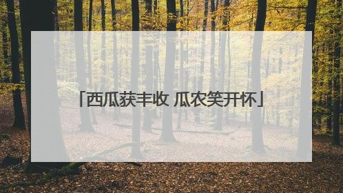 西瓜获丰收 瓜农笑开怀