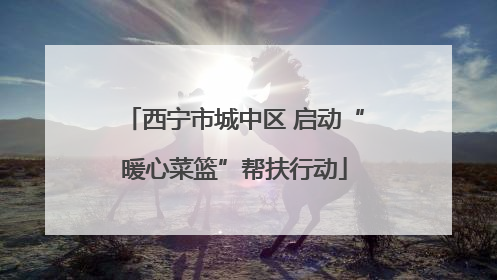 西宁市城中区 启动“暖心菜篮”帮扶行动