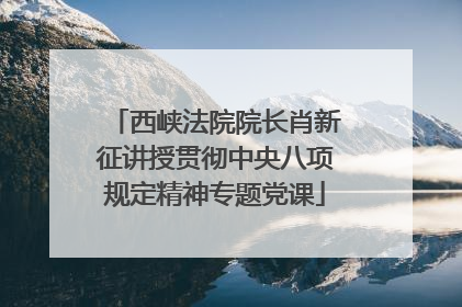 西峡法院院长肖新征讲授贯彻中央八项规定精神专题党课
