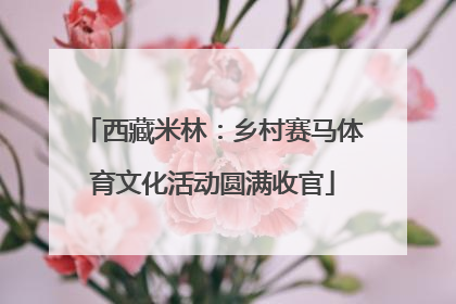 西藏米林：乡村赛马体育文化活动圆满收官