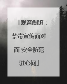 观音阁镇：禁毒宣传面对面 安全防范驻心间