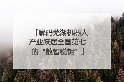 解码芜湖机器人产业跃居全国第七的“数智税钥”