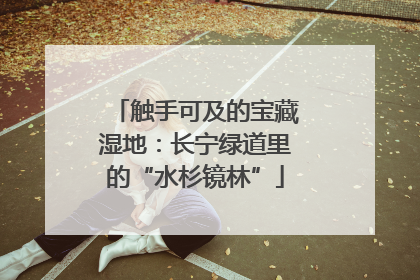 触手可及的宝藏湿地：长宁绿道里的“水杉镜林”
