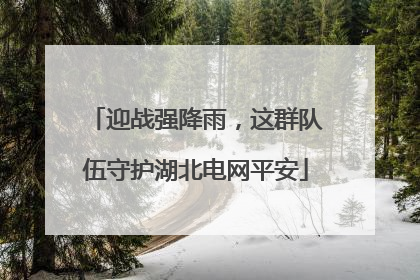 迎战强降雨，这群队伍守护湖北电网平安