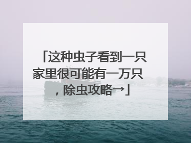 这种虫子看到一只家里很可能有一万只，除虫攻略→