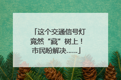 这个交通信号灯竟然“藏”树上！市民盼解决……