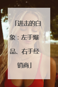 进击的白象：左手爆品、右手经销商