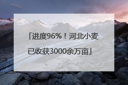 进度96%！河北小麦已收获3000余万亩