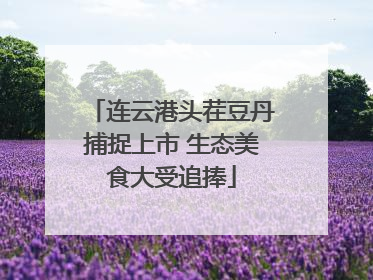 连云港头茬豆丹捕捉上市 生态美食大受追捧