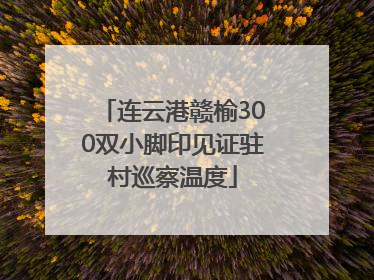 连云港赣榆300双小脚印见证驻村巡察温度
