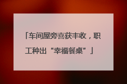 车间屋旁喜获丰收，职工种出“幸福餐桌”
