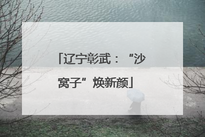 辽宁彰武：“沙窝子”焕新颜