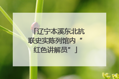 辽宁本溪东北抗联史实陈列馆内“红色讲解员”