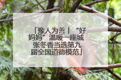 豫人为善丨“好妈妈”温暖一座城 张冬香当选第九届全国道德模范