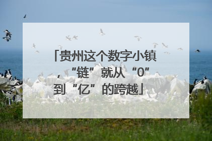 贵州这个数字小镇，“链”就从“0”到“亿”的跨越