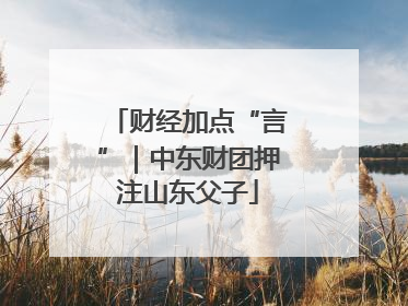 财经加点“言”｜中东财团押注山东父子