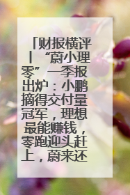 财报横评丨“蔚小理零”一季报出炉：小鹏摘得交付量冠军，理想最能赚钱，零跑迎头赶上，蔚来还在调整