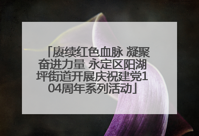 赓续红色血脉 凝聚奋进力量 永定区阳湖坪街道开展庆祝建党104周年系列活动