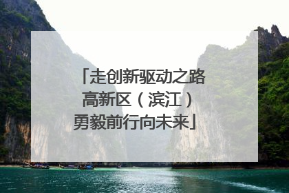 走创新驱动之路 高新区（滨江）勇毅前行向未来