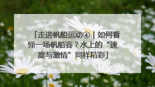走进帆船运动④｜如何看懂一场帆船赛？水上的“速度与激情”同样精彩