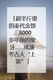 超半斤重的秦代金饼、3000多年前的象牙……成渝考古人“上新”