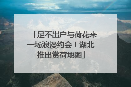 足不出户与荷花来一场浪漫约会！湖北推出赏荷地图