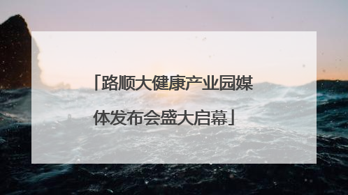 路顺大健康产业园媒体发布会盛大启幕