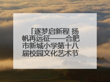 逐梦启新程 扬帆再远征——合肥市新城小学第十八届校园文化艺术节“戏曲进校园专场演出”