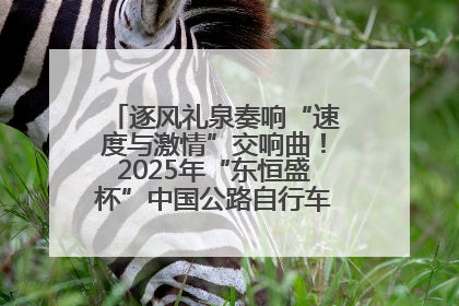 逐风礼泉奏响“速度与激情”交响曲！2025年“东恒盛杯”中国公路自行车联赛第五站（陕西·礼泉站）正式开赛