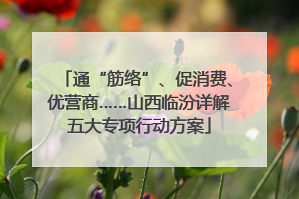 通“筋络”、促消费、优营商……山西临汾详解五大专项行动方案