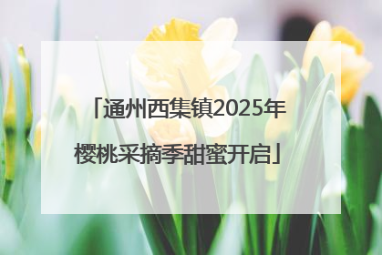 通州西集镇2025年樱桃采摘季甜蜜开启