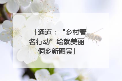 通道：“乡村著名行动”绘就美丽侗乡新图景