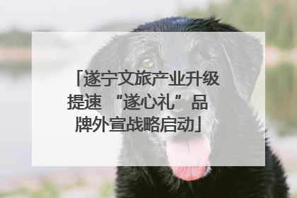 遂宁文旅产业升级提速 “遂心礼”品牌外宣战略启动