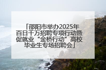 邵阳市举办2025年百日千万招聘专项行动暨促就业“金桥行动”高校毕业生专场招聘会