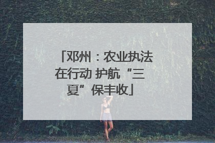邓州：农业执法在行动 护航“三夏”保丰收